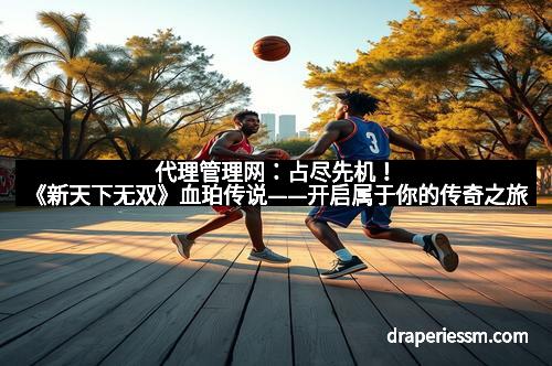 代理管理网：占尽先机！《新天下无双》血珀传说——开启属于你的传奇之旅